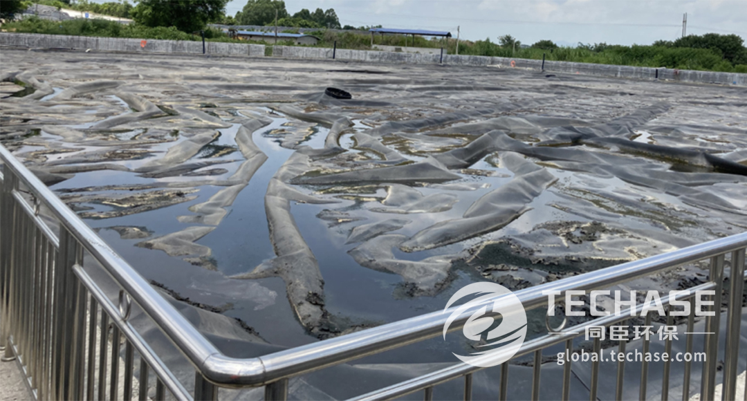 Techase® Screw Press Application of Landfill Leachate Dewatering