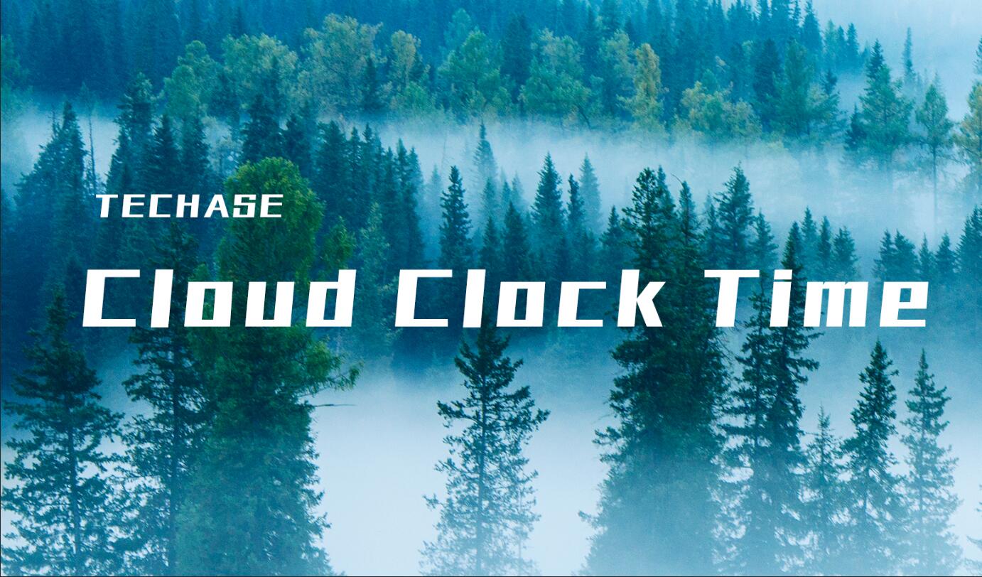 Visit 4 typical TECHASE installation cases site
