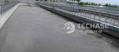 Hanjiang Pharmaceutical Project