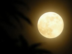 Techase | Happy Mid-Autumn Festival