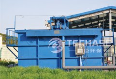 Chongming STP Project